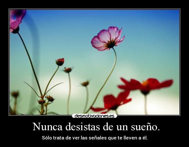  Nunca desistas de un sueño. - 