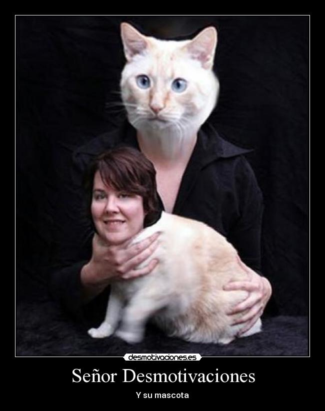 Señor Desmotivaciones -