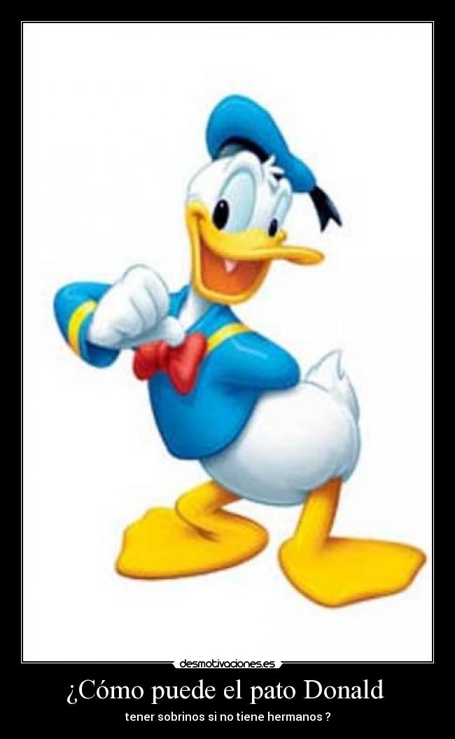 ¿Cómo puede el pato Donald  - 
