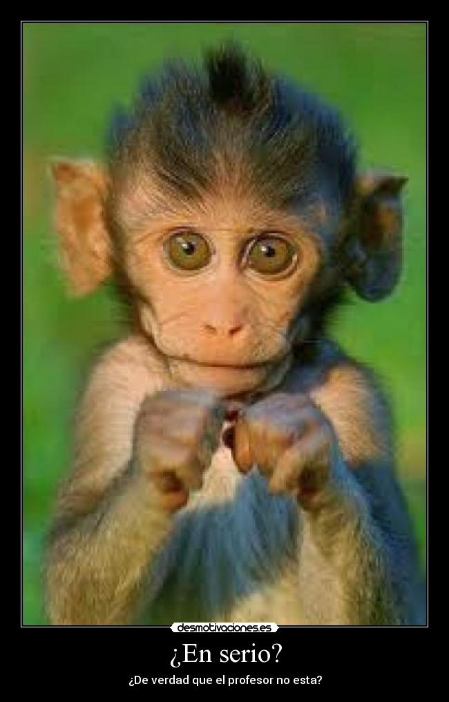 ¿En serio? - ¿De verdad que el profesor no esta?