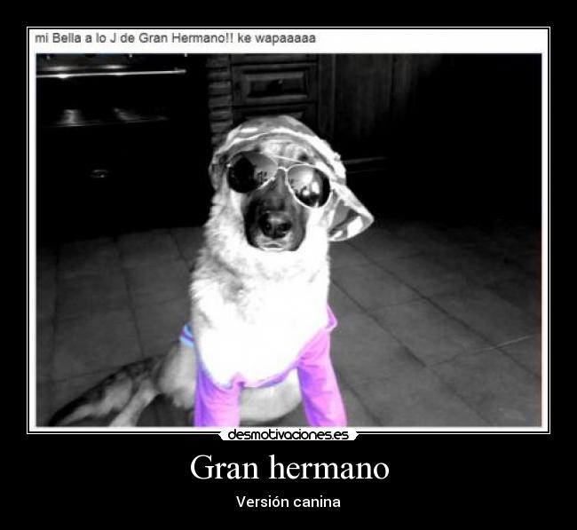 Gran hermano - 
