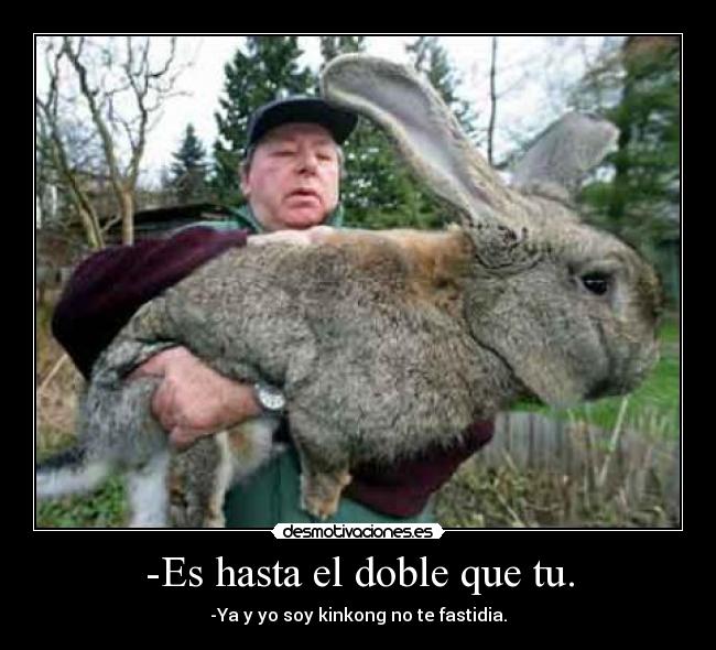 -Es hasta el doble que tu. - -Ya y yo soy kinkong no te fastidia.