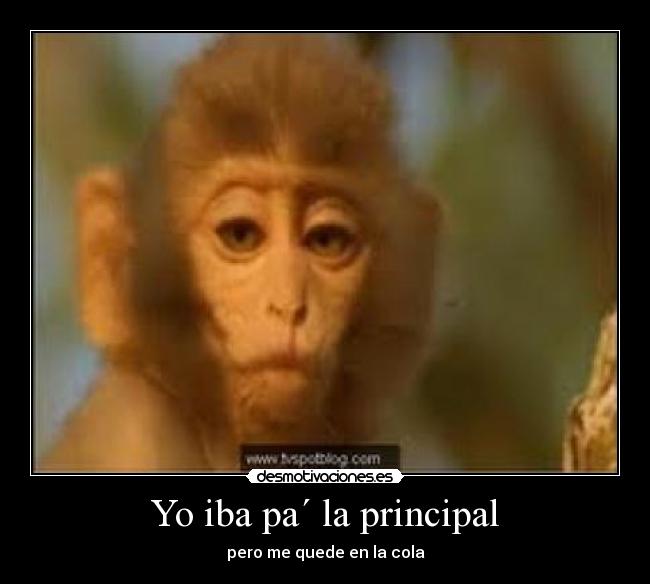Yo iba pa´ la principal -