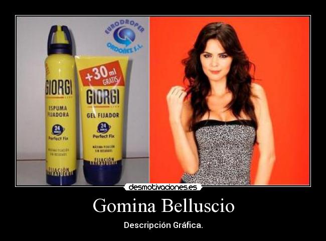 Gomina Belluscio - Descripción Gráfica.