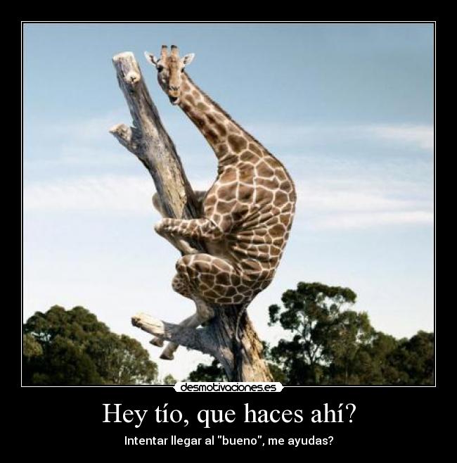 Hey tío, que haces ahí? -