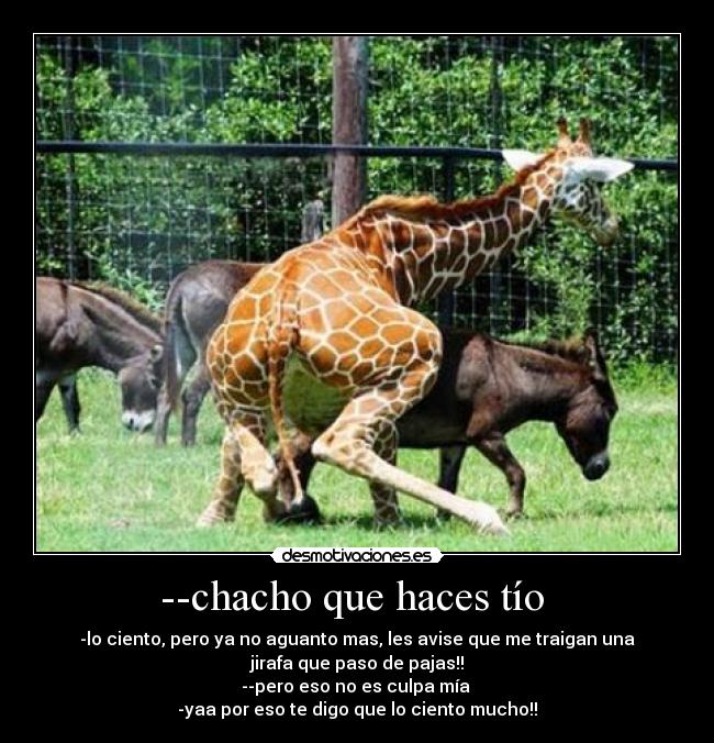 --chacho que haces tío -