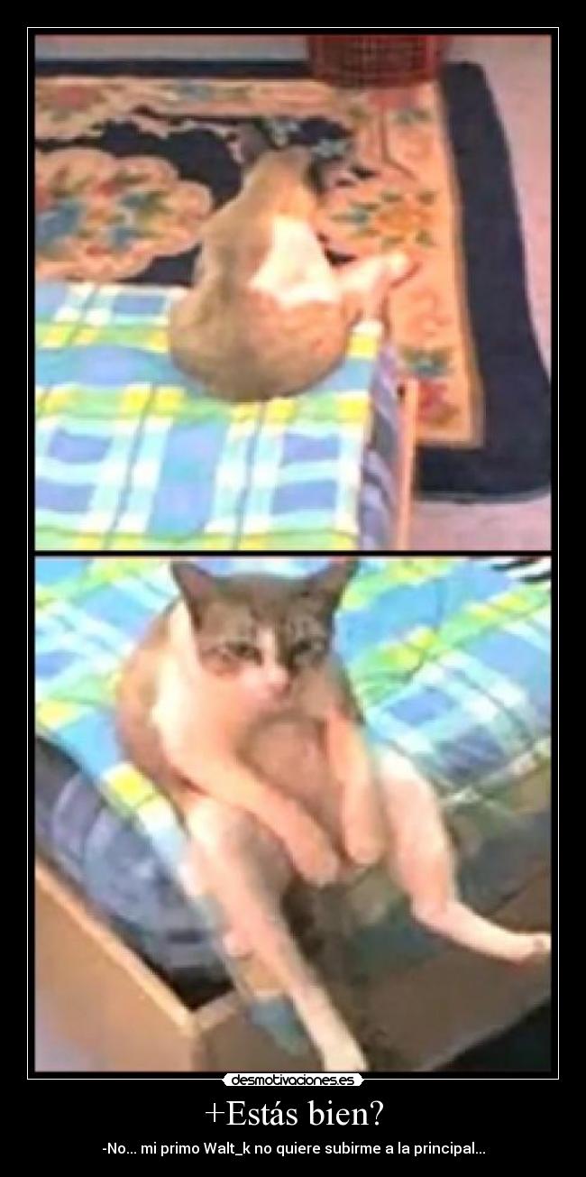 +Estás bien? - -No... mi primo Walt_k no quiere subirme a la principal...