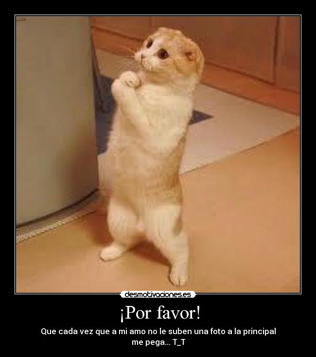 ¡Por favor! - 