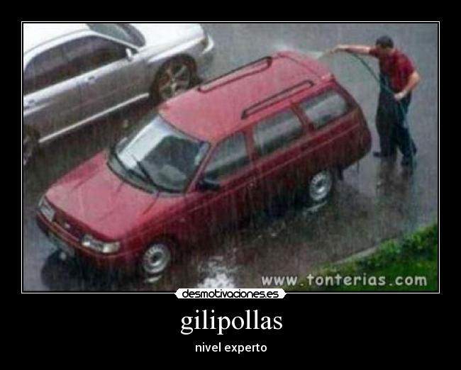 gilipollas - nivel experto