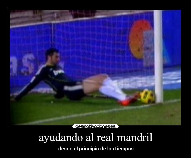 ayudando al real mandril -