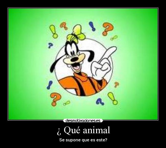 ¿ Qué animal - Se supone que es este?