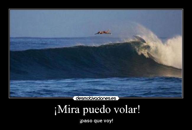 ¡Mira puedo volar! - ¡paso que voy!