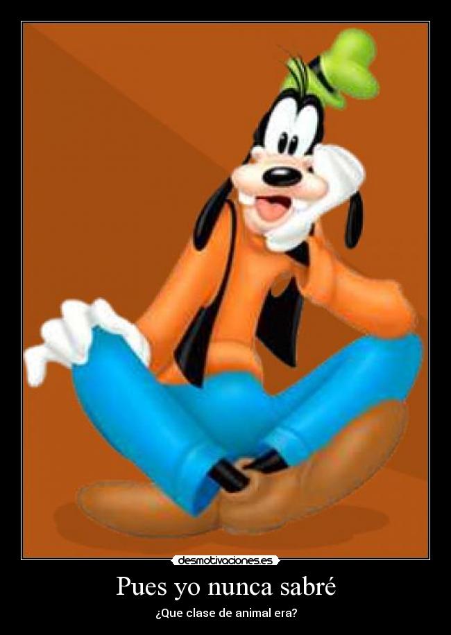 Pues yo nunca sabré -