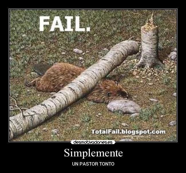 Simplemente - UN PASTOR TONTO