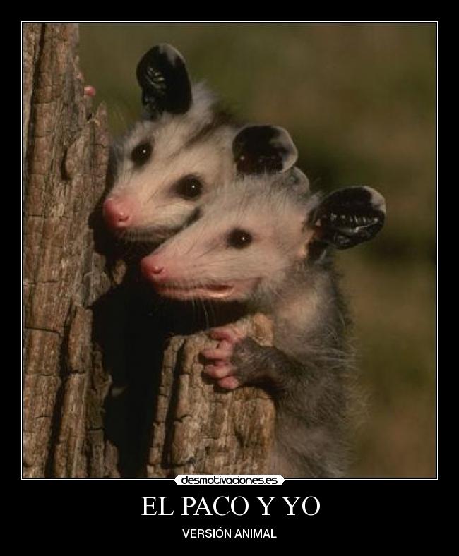 EL PACO Y YO -