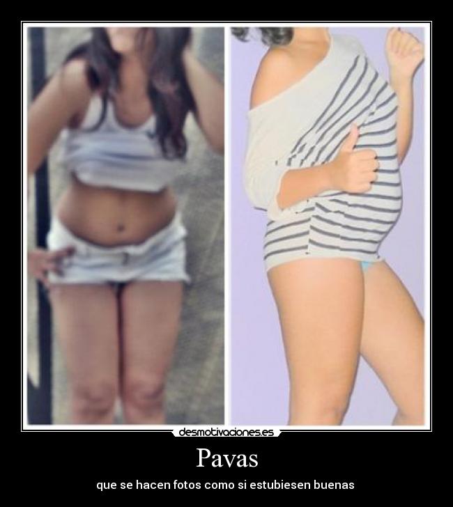Pavas - 