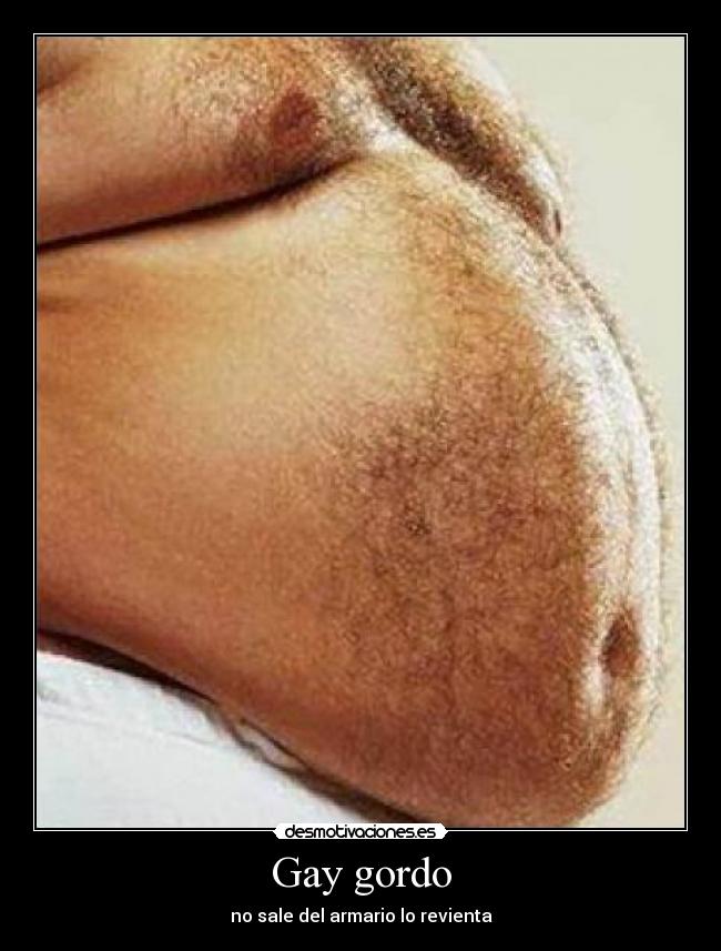 Gay gordo -