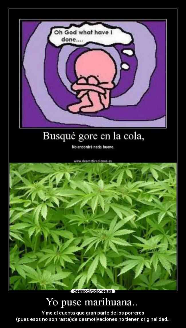 Yo puse marihuana..  - Y me dí cuenta que gran parte de los porreros
(pues esos no son rasta)de desmotivaciones no tienen originalidad...