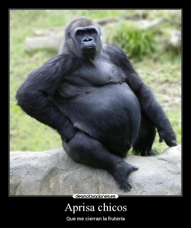 Aprisa chicos - 