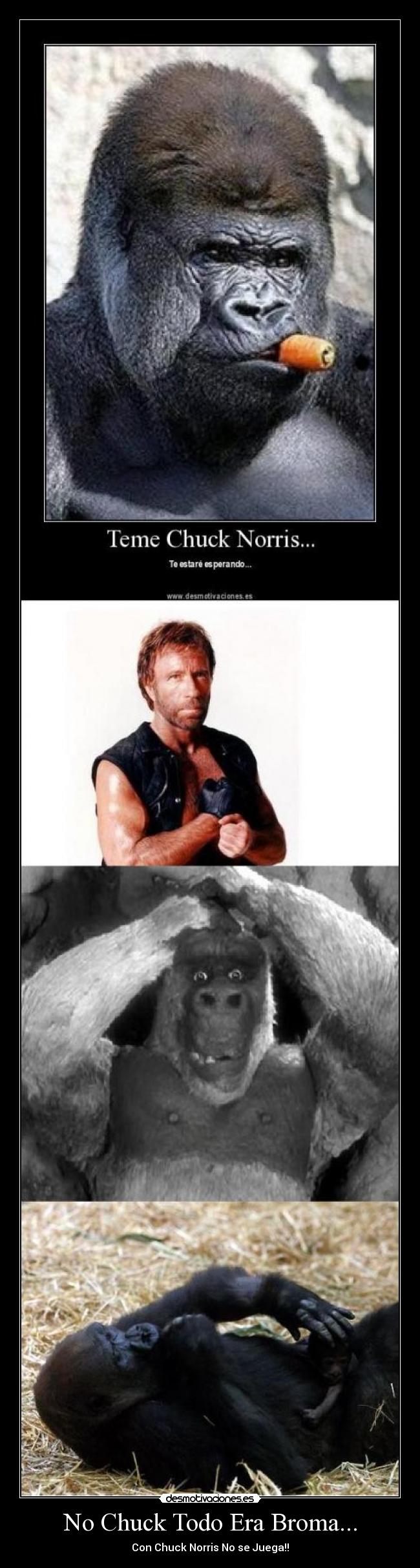 No Chuck Todo Era Broma... - Con Chuck Norris No se Juega!!