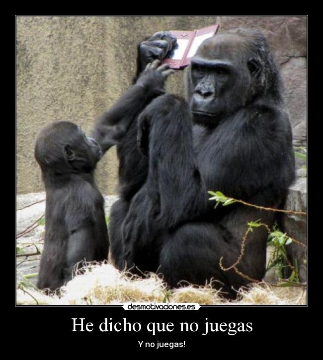 He dicho que no juegas - 