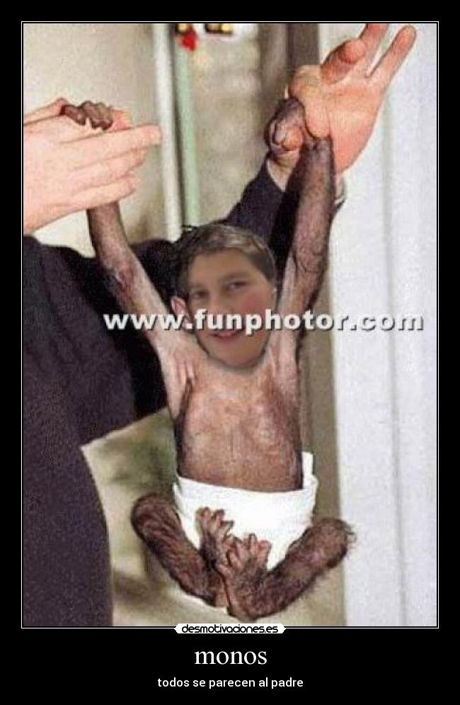 monos -