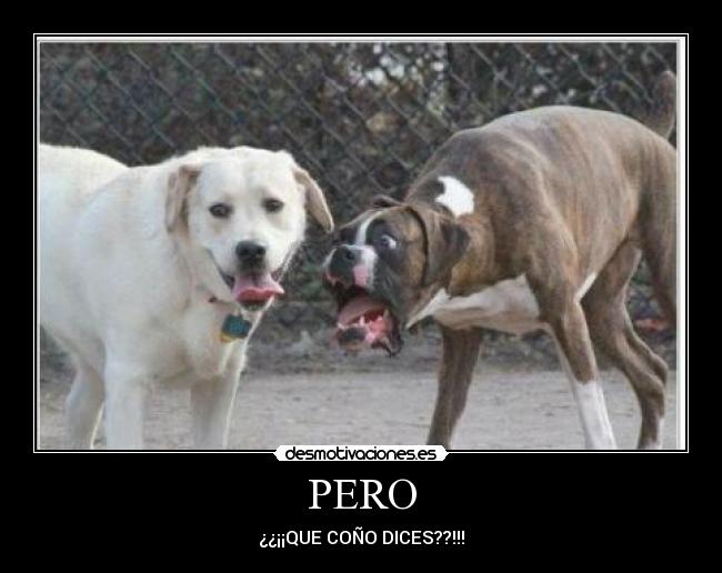 PERO -