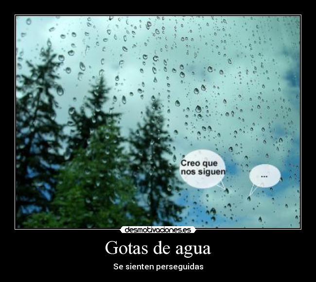 Gotas de agua - Se sienten perseguidas