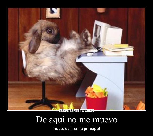 De aqui no me muevo - 
