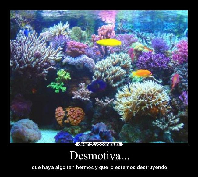 Desmotiva... - que haya algo tan hermos y que lo estemos destruyendo