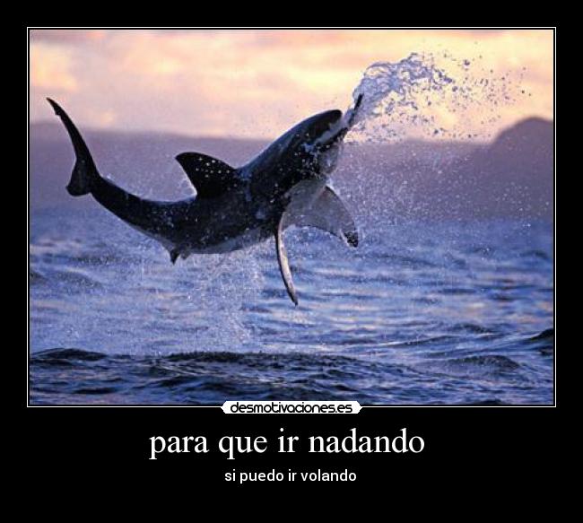 para que ir nadando -