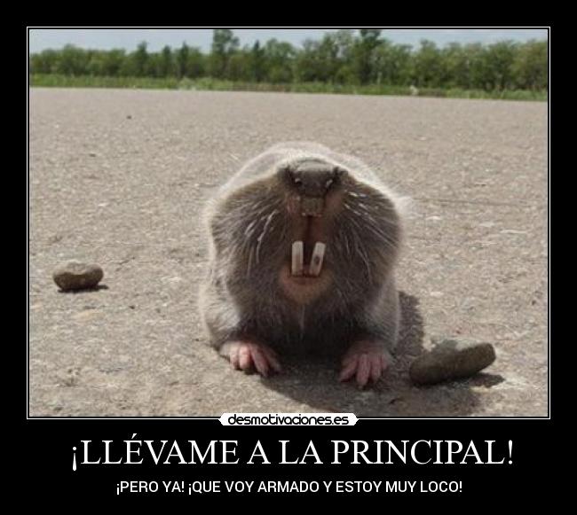 ¡LLÉVAME A LA PRINCIPAL! -