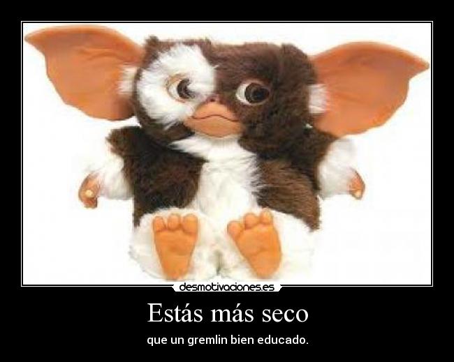 Estás más seco - que un gremlin bien educado.