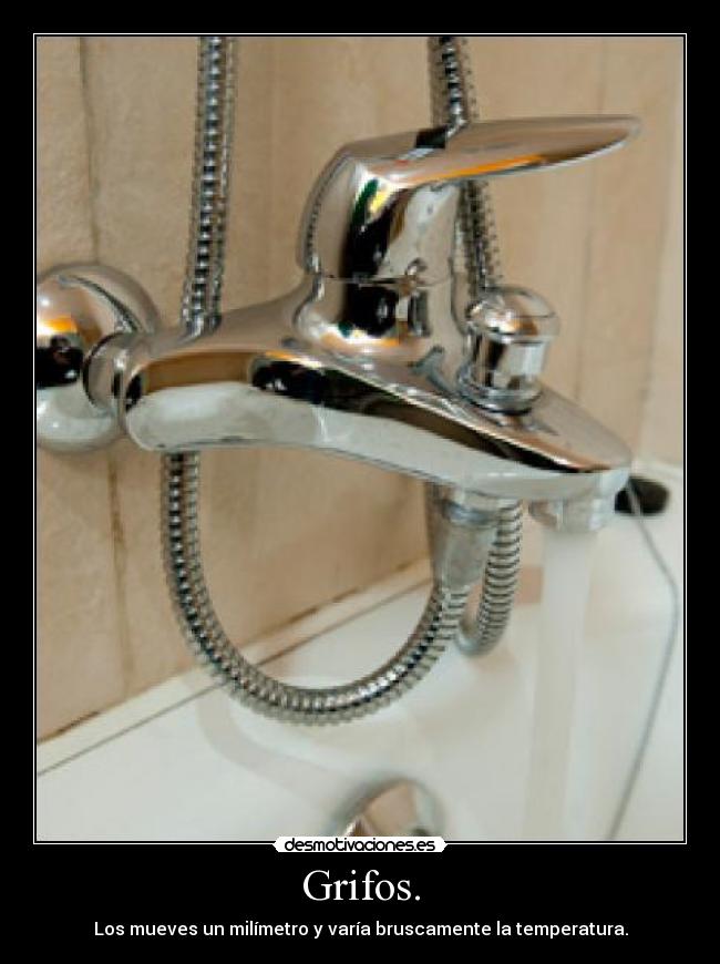 carteles grifos desmotivaciones