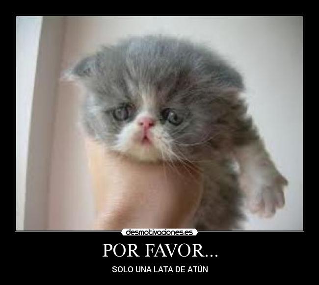 POR FAVOR... - 