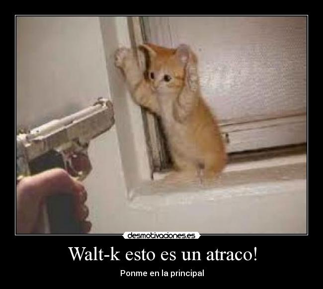 Walt-k esto es un atraco! -