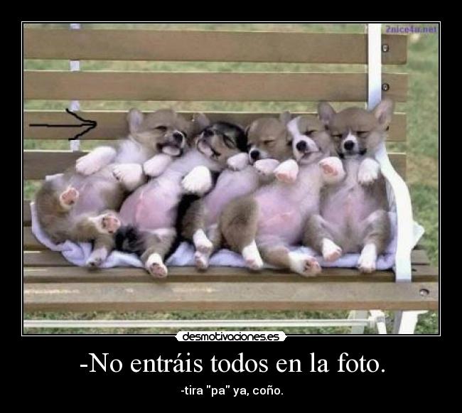 -No entráis todos en la foto. - -tira pa ya, coño.