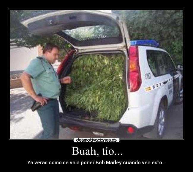 Buah, tío... - Ya verás como se va a poner Bob Marley cuando vea esto...