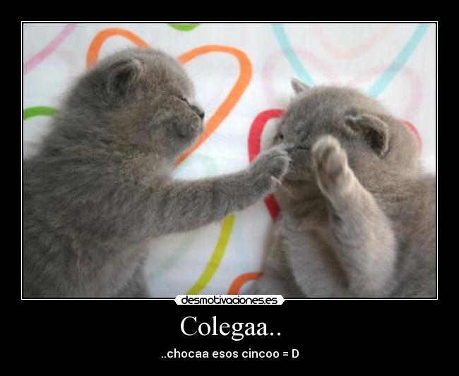 Colegaa.. - 