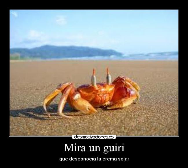 Mira un guiri - 