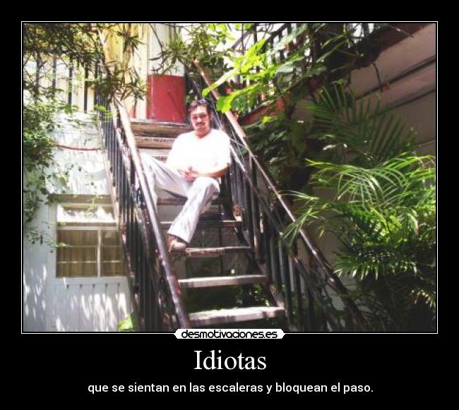 Idiotas - que se sientan en las escaleras y bloquean el paso.