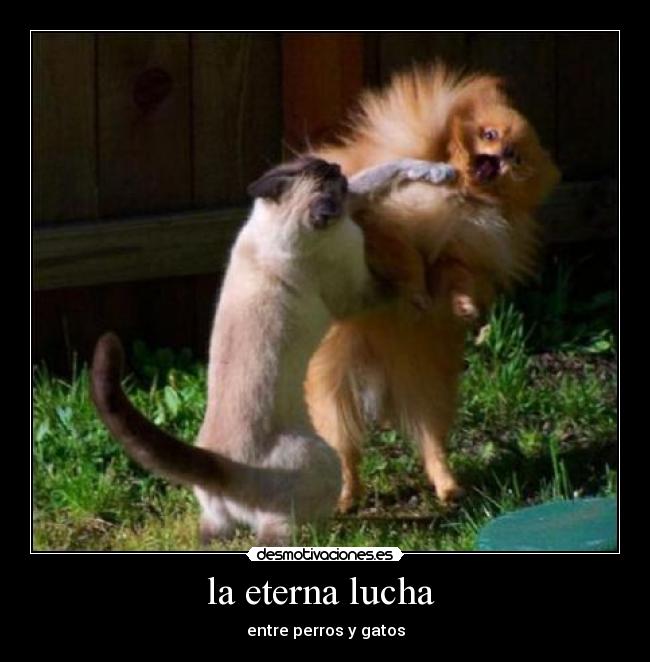 la eterna lucha -