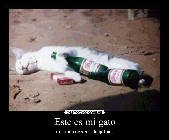 Este es mi gato - 