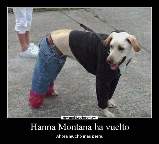 Hanna Montana ha vuelto -