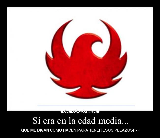 Si era en la edad media... - QUE ME DIGAN COMO HACEN PARA TENER ESOS PELAZOS! ¬¬