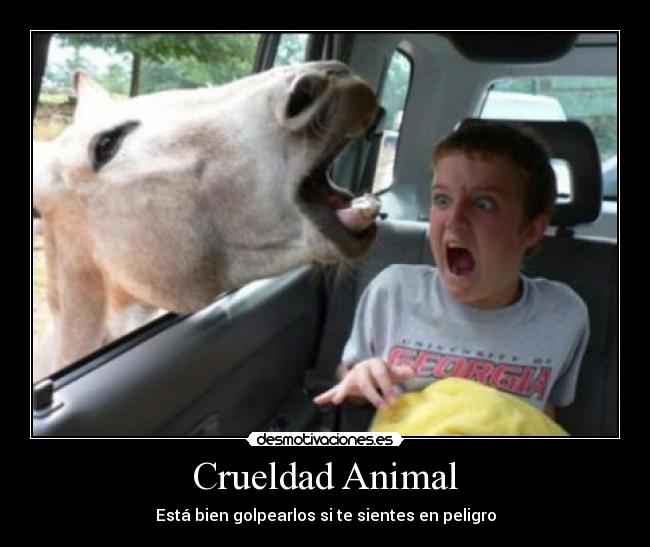 Crueldad Animal -