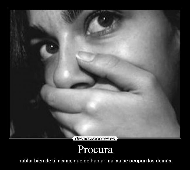 Procura - 