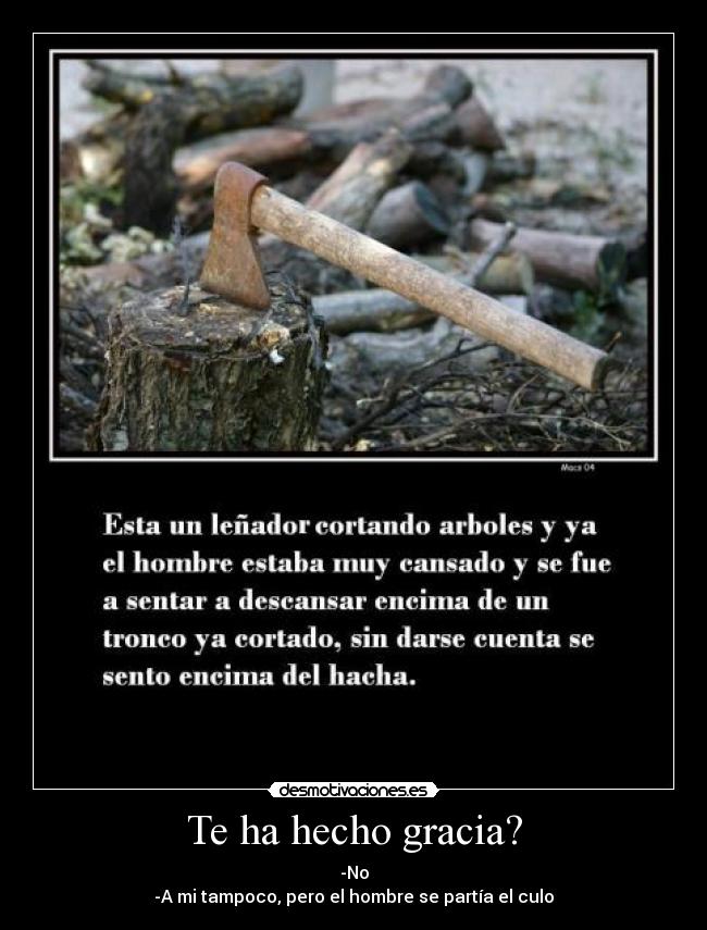 Te ha hecho gracia? - -No
-A mi tampoco, pero el hombre se partía el culo