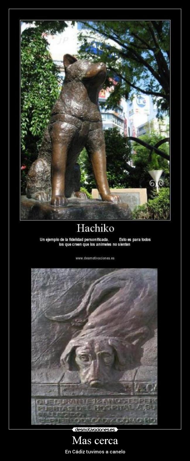 Mas cerca - En Cádiz tuvimos a canelo