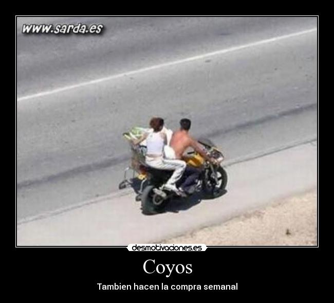 Coyos - 